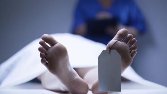فصل رأسها عن جسدها.. شاب يقتـ.ل والدته بآلة حادة في قنا