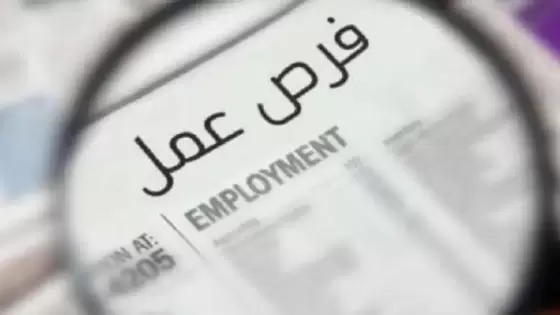 توفير فرص عمل للمصريين