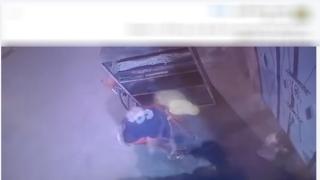 عايز أجيب مشاهدات.. الأمن يكشف ملابسات فيديو التعدى علة قطة حتى الموت بالغربية