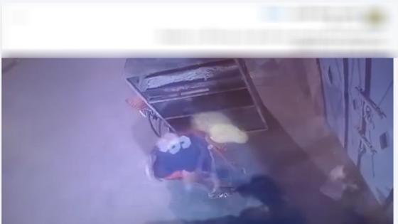 عايز أجيب مشاهدات.. الأمن يكشف ملابسات فيديو التعدى علة قطة حتى الموت بالغربية