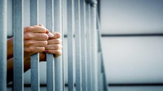 السجن 6 أشهر لمتهم بتسميم كلاب حدائق الأهرام في الجيزة