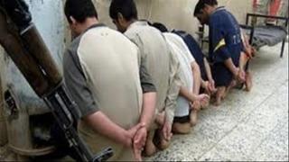 ضبط تشكيل عصابي تخصص في سرقة المواشي بالمنيا