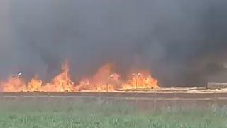 السيطرة على حريق بأرض زراعية بالخانكة.. والعثور على كمية من الأسلحة