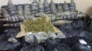 40 كيلو بانجو .. ضبط عاطلين يتاجران فى المخدرات بالشرقية