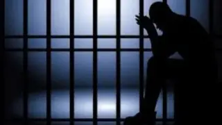 مأساة في الهرم.. طفل يلقى حتفه أسفل عربة كارو