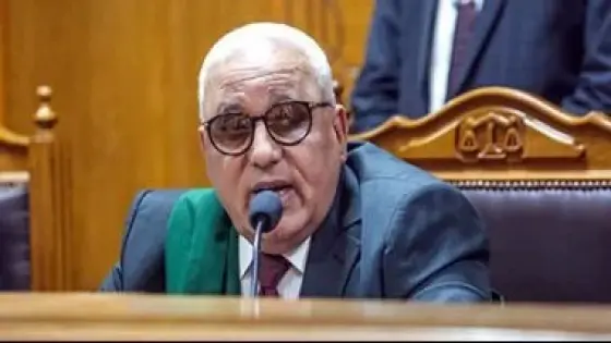تأجيل محاكمة 32 متهمًا بخلية اللجان الإدارية لجلسة 14 يونيه