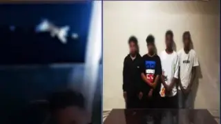 “مزاح تحول لجريمة”.. القبض على طلاب ألقوا قطة في نهر النيل بالجيزة