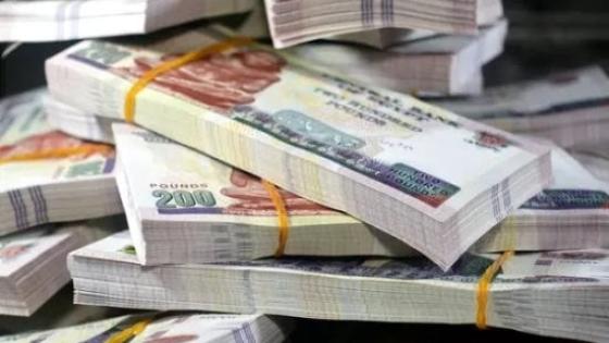 ضبط تاجر مخدرات غسل 65 مليون جنيه فى أسوان