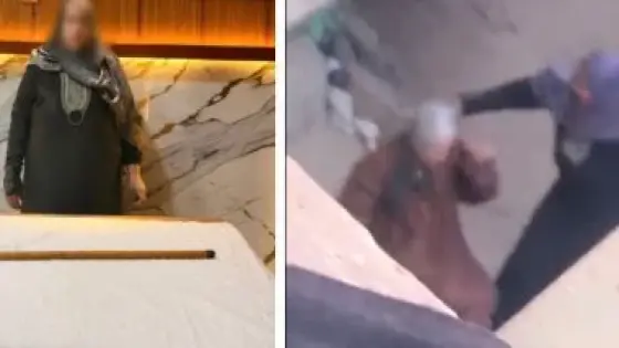 ضبط ابنة بالشرقية بعد ضرب والدتها المسنة بعصا خشبية