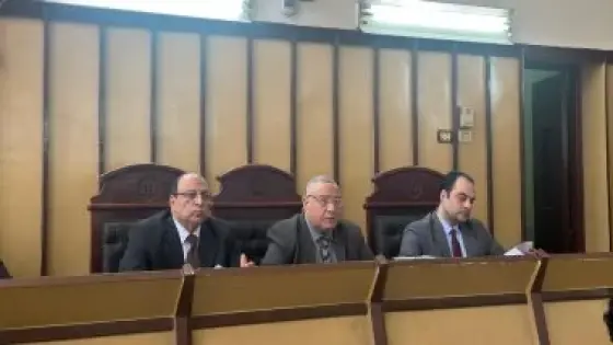 إحالة سائق إلى مفتي الجمهورية بعد مقتل زوجته في بورسعيد