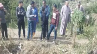 6 مصابين في سقوط سيارتين بترعة على طريق زراعي بالبحيرة