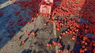 مصرع 3 أشخاص وإصابة آخرين في تصادم سيارتين على كوبري هوارة بالفيوم