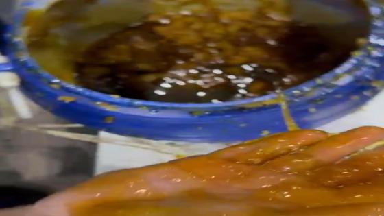 داخل برطمانات عسل.. جمارك مطار القاهرة تضبط راكبتين بحوزتهما 15 كيلو مخدرات