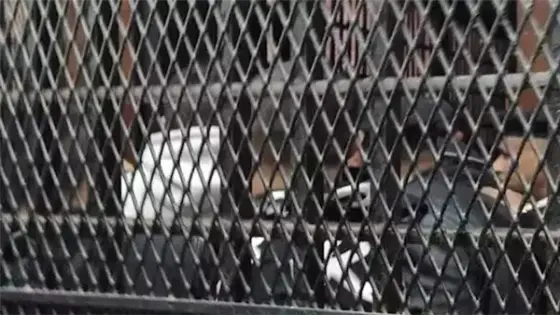 تأجيل محاكمة 6 متهمين بخلية داعش السلام لجلسة 19 أبريل