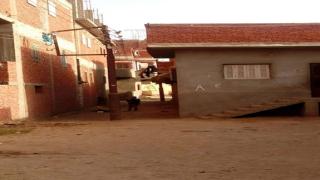 عامود إنارة ينهي حياة طالب في سوهاج !!