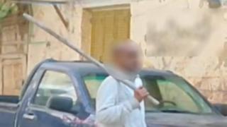 الداخلية تكشف ملابسات فيديو نفوق الحيوانات الأليفة بالإسكندرية وتضبط المتهم