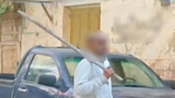 الداخلية تكشف ملابسات فيديو نفوق الحيوانات الأليفة بالإسكندرية وتضبط المتهم