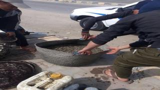 حملة من المسطحات المائية تتمكن من ضبط صيادي الزريعة ببحيرة البرلس