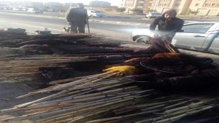 المسطحات المائية تضبط 250 جوبية زريعة و400 متر تحويط و4 كوبوتا ببحيرة البرلس