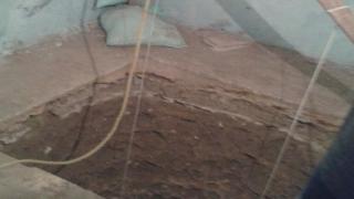 لعنه الفراعنة تهبط اﻻرض بقوصية اسيوط وتصيب 3أشخاص اثناء تنقيبهم عن اﻵثار