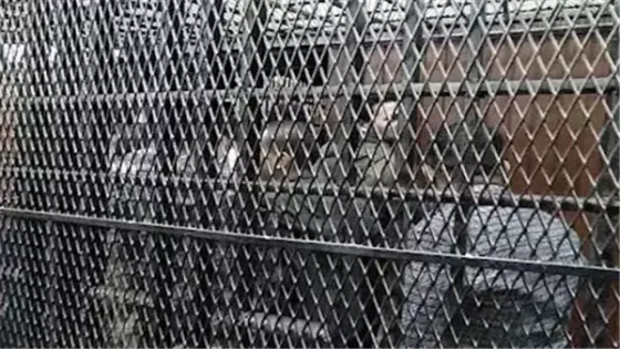 تأجيل محاكمة 23 متهمًا في قضية خلية اللجان النوعية بمدينة نصر