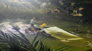 حادث مأساوي في الدقهلية.. مصرع فتاة وإصابة 10 في انقلاب ميكروباص بترعة