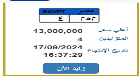 عرضتها الداخلية.. 4 أشخاص يتنافسون على لوحة سيارة بـ 13 مليون جنيه