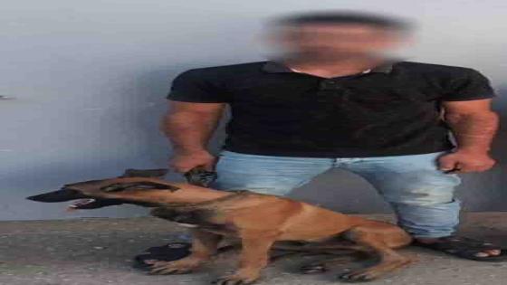ضبط شاب استخدم كلبه لتخويف مواطن بهدف التصوير والتربح عبر مواقع التواصل بالدقهلية