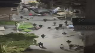 حبس 8 متهمين في مشاجرة ببنها استخدموا خلالها الكلاب وأنابيب البوتاجاز