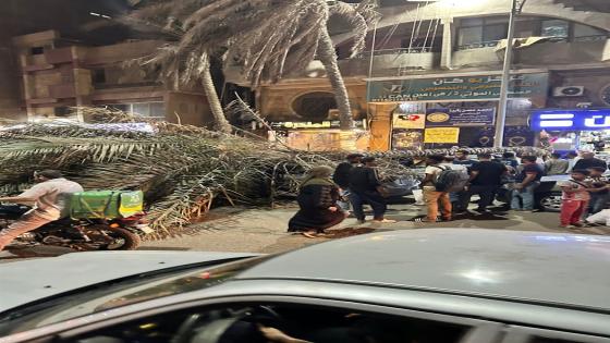 سقوط نخلة على عدد من السيارات في شارع اللبيني بفيصل 
