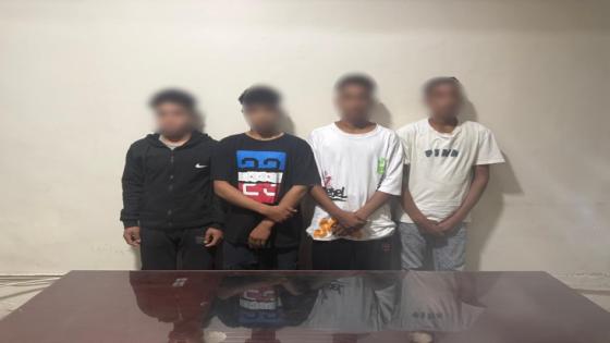 ضبط 4 طلاب ألقوا «هرة» في النيل وصوروا الواقعة بغرض المزاح بالجيزة