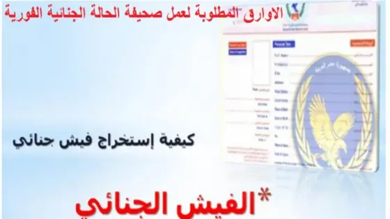 للمرضى وكبار السن والمصريين بالخارج.. خدمات متنوعة لاستخراج صحيفة الحالة الجنائية