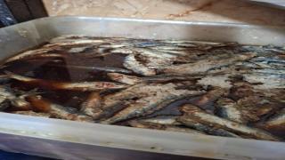 حملة تموينية تضبط 6 أطنان لحوم وفسيخ وسردين غير صالحة للاستهلاك الآدمى بالقاهرة