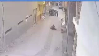 القبض على زوج سيدة ألقت أنبوبة بوتاجاز على طفلة بالغربية