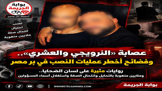 عصابة «النرويجي والعشري».. روايات الضحايا تكشف تفاصيل عمليات نصب بالملايين