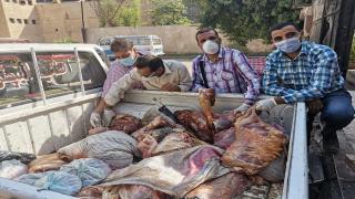 الطب البيطري يوجه ضربات موجعة ضبط نصف طن لحم حمير قبل بيعها بسوهاج