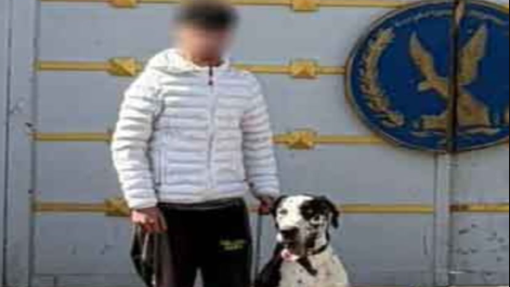 القبض على طالب أطلق كلبًا شرسًا على زميله في القطامية