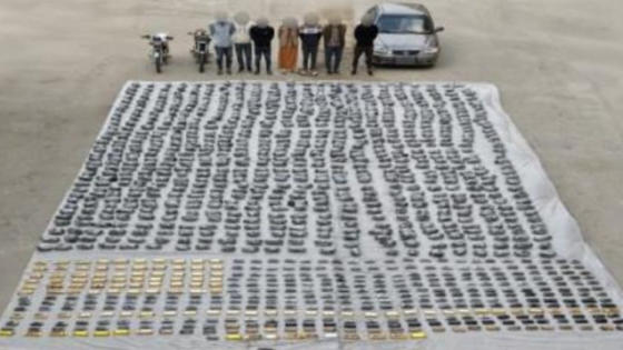 ضبط 1.5 طن حشيش تُقدَّر قيمتها بـ90 مليون جنيه بحوزة تشكيل عصابي في السويس