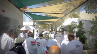 رئيس بعثة الحج: نجاح خطة تصعيد حجاج القرعة إلى عرفات