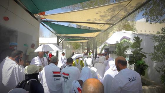 رئيس بعثة الحج: نجاح خطة تصعيد حجاج القرعة إلى عرفات
