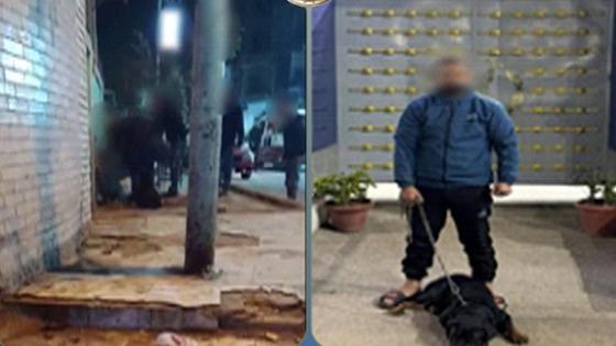ضبط شاب حرّض كلبه لترويع عامل داخل محل بالشرقية