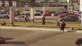 الأمن يضبط 10 سيدات إثر مشاجرة بسبب التسول في الشيخ زايد