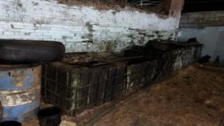 ضبط عصابة سرقة خط زيت خام جنوب سيناء بينهم خفير بالشركة