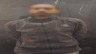 ضبط متهم بقتل قطة بالقليوبية بعد تداول فيديو