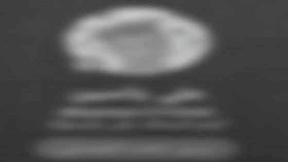 تفكيك شبكة إلكترونية للتحريض على الفسق بالدقهلية وضبط 4 متهمين