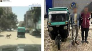 الأمن يكشف ملابسات فيديو ربط كلب نافق خلف توك توك بالقاهرة
