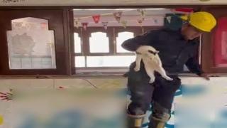 إنقاذ قطة عالقة داخل معهد بالفيوم يلقى إشادة الأهالي