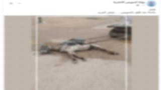 الداخلية توضح حقيقة نفوق حمار أمام مدرسة بالسويس