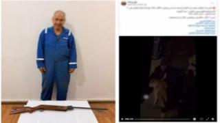 ضبط شخص أطلق النار على كلاب ضالة في الإسماعيلية