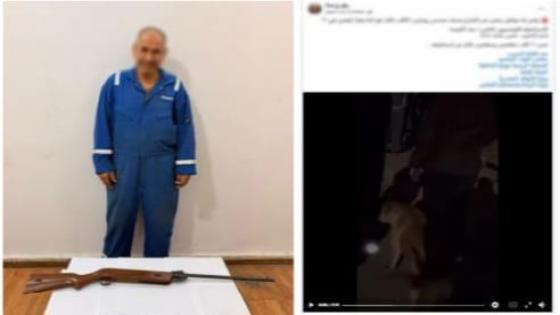 ضبط شخص أطلق النار على كلاب ضالة في الإسماعيلية